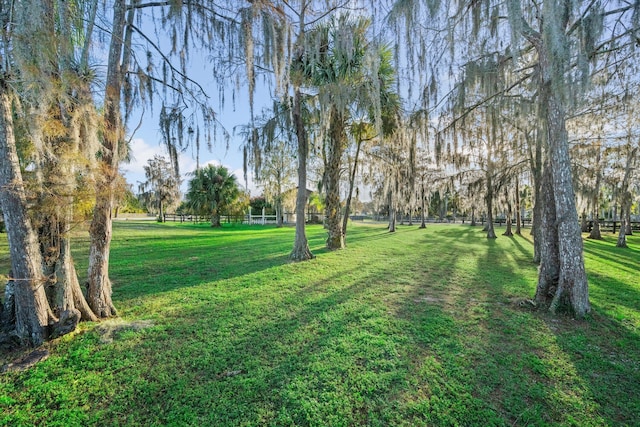 view of yard