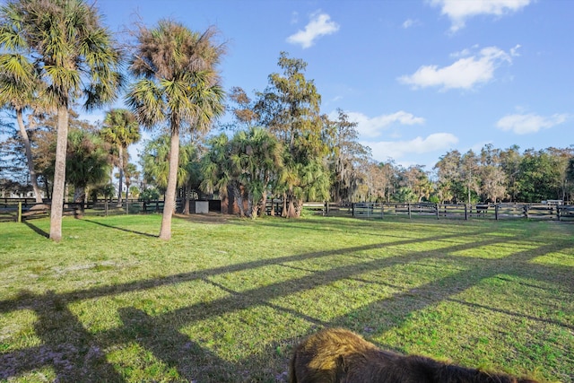 view of community with a lawn and a rural view