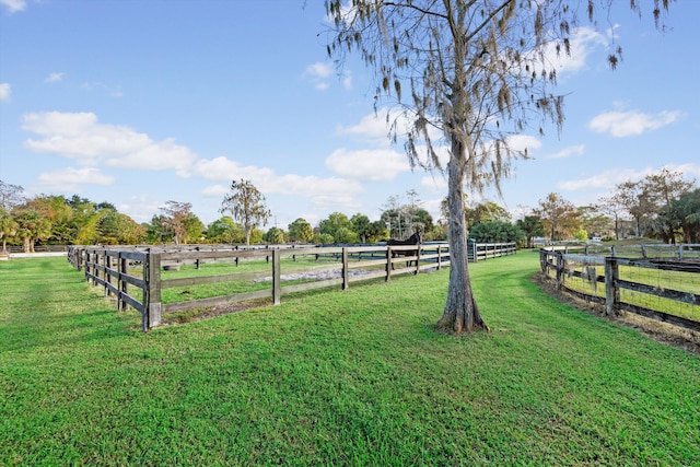 view of yard featuring a rural view