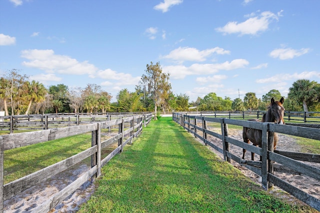 view of yard featuring a rural view