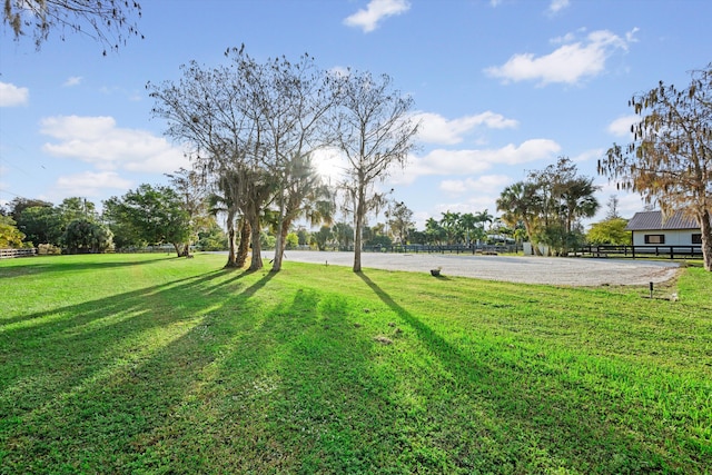 view of yard