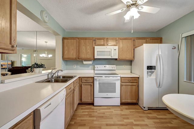 kitchen featuring light hardwood / wood-style floors, white appliances, sink, and hanging light fixtures