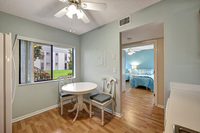 dining space featuring ceiling fan, a textured ceiling, and light hardwood / wood-style flooring