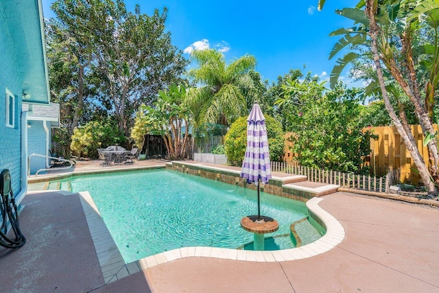 view of pool featuring a patio