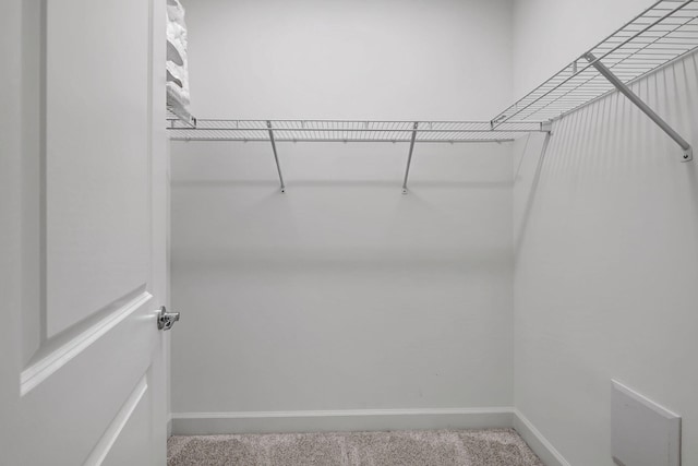 spacious closet featuring carpet flooring