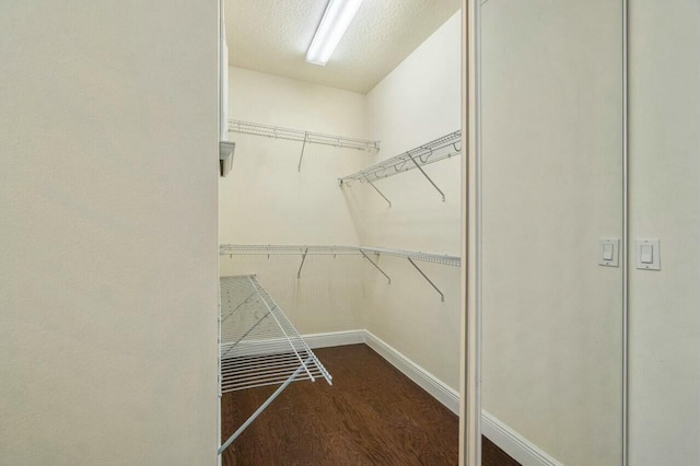 walk in closet featuring dark hardwood / wood-style floors