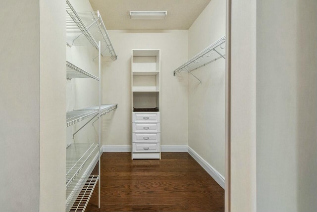 walk in closet featuring dark hardwood / wood-style floors