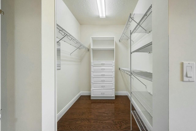 spacious closet featuring dark hardwood / wood-style floors