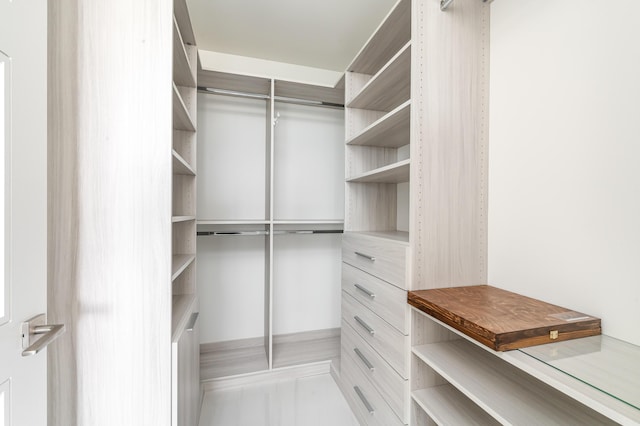 view of walk in closet