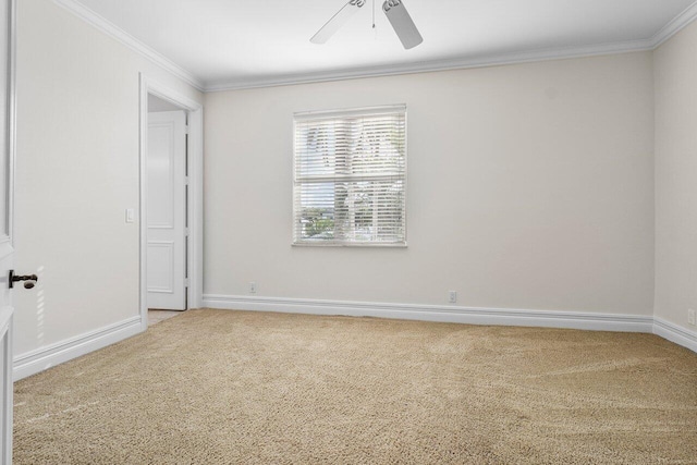 empty room with carpet, ceiling fan, and crown molding