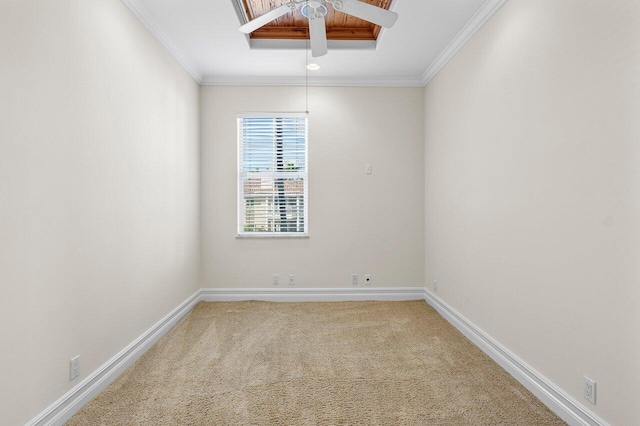 spare room with carpet floors and crown molding