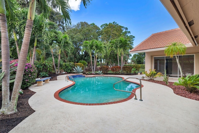 view of pool featuring a patio