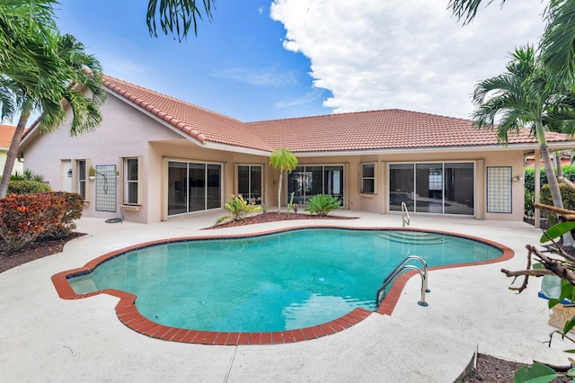 view of pool featuring a patio