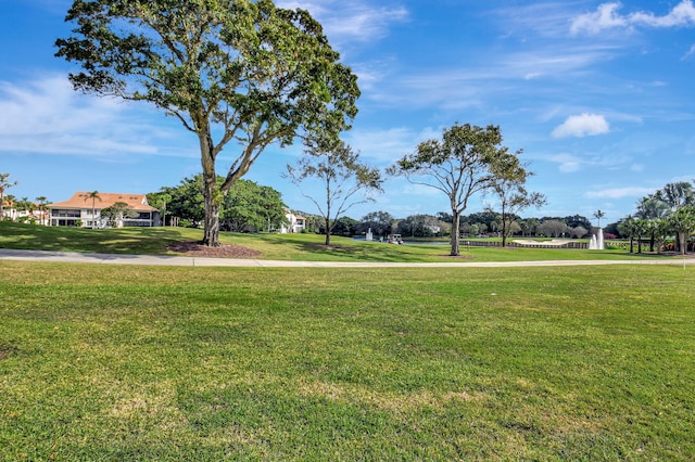 view of community with a yard