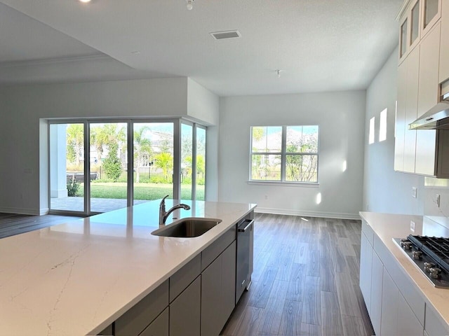 kitchen featuring white cabinetry, sink, gas cooktop, dark hardwood / wood-style flooring, and stainless steel dishwasher