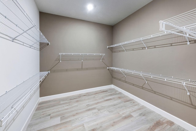 walk in closet with light wood-type flooring