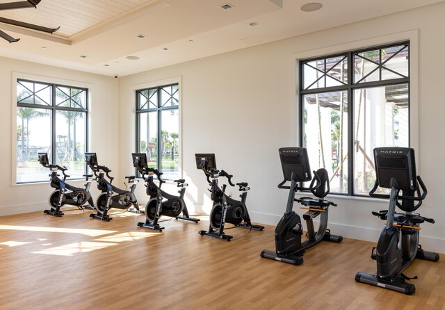 exercise room with carpet floors, a tray ceiling, track lighting, and ceiling fan