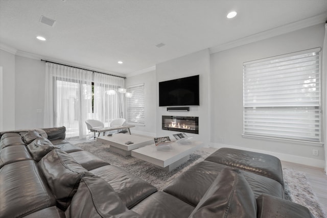 living room with a textured ceiling, hardwood / wood-style flooring, and ornamental molding