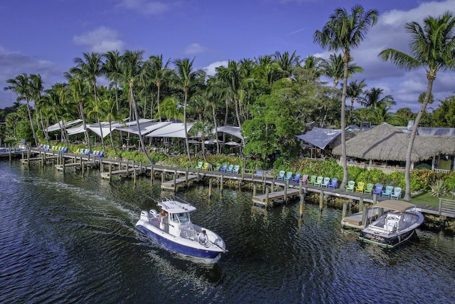 dock area with a water view