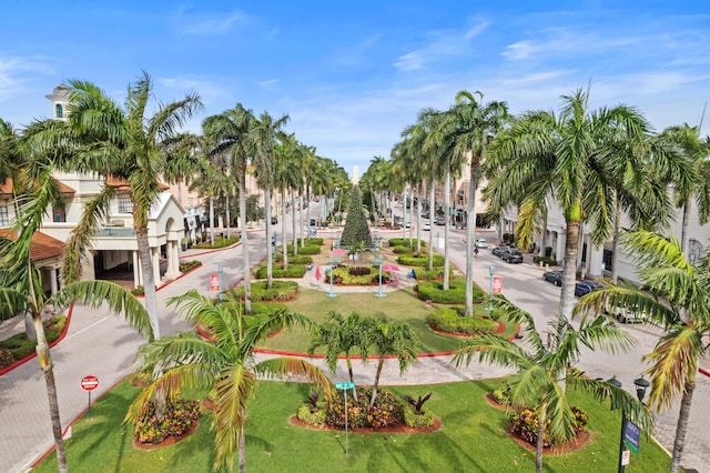 view of property's community with a lawn