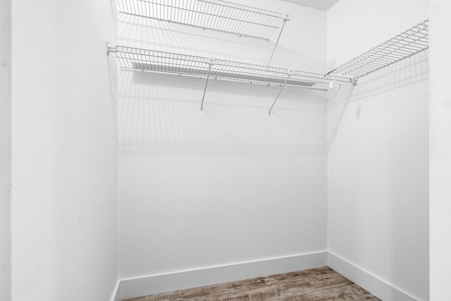 spacious closet featuring wood-type flooring