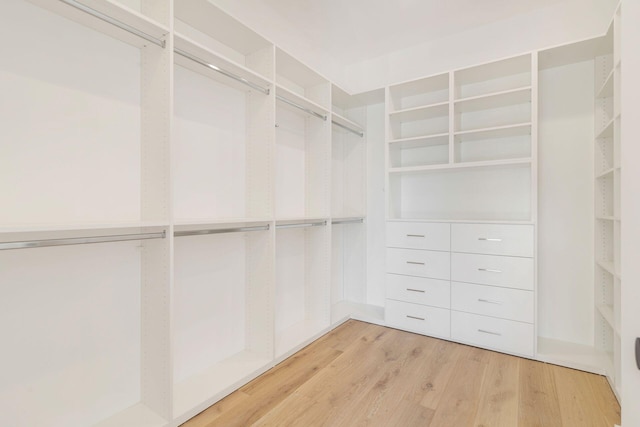 spacious closet with hardwood / wood-style flooring