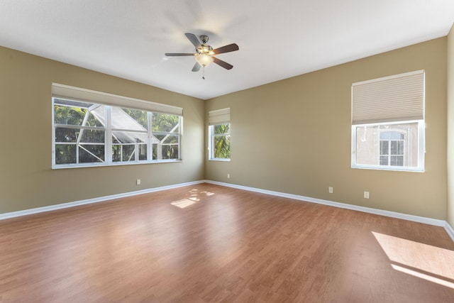 empty room with ceiling fan and light hardwood / wood-style floors