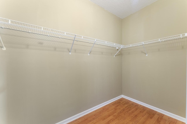 spacious closet featuring wood-type flooring