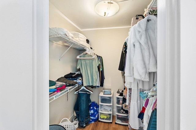 spacious closet featuring wood-type flooring