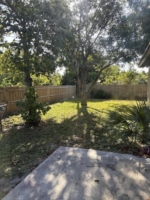 view of yard featuring a patio area