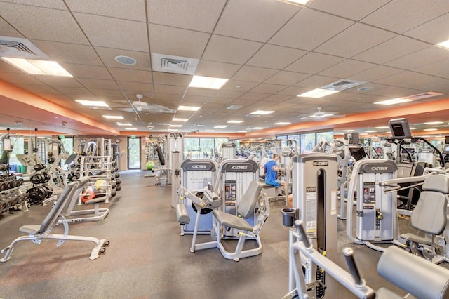 workout area featuring a paneled ceiling and ceiling fan