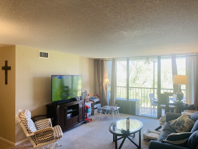 carpeted living room with a textured ceiling