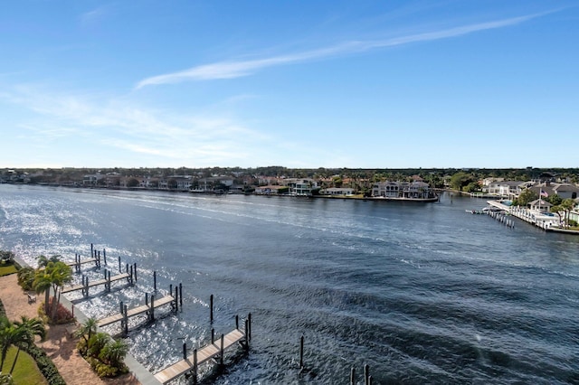 water view featuring a boat dock