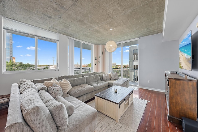 living room with dark hardwood / wood-style flooring