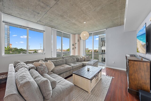 living room with dark hardwood / wood-style floors