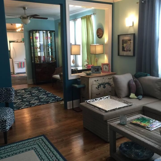 living room featuring dark hardwood / wood-style flooring, ceiling fan, and ornamental molding