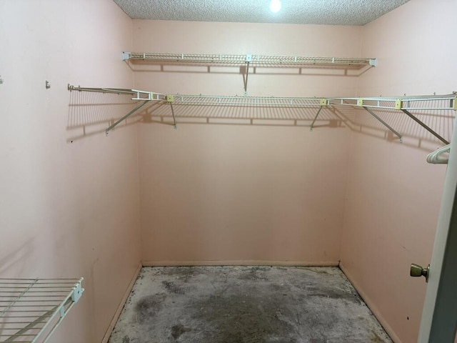 view of spacious closet