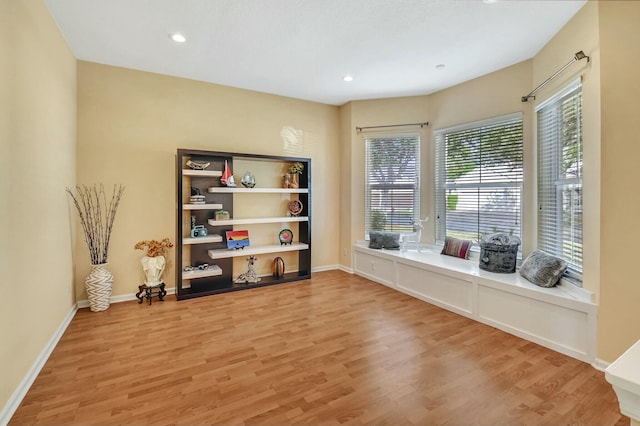 interior space with wood-type flooring