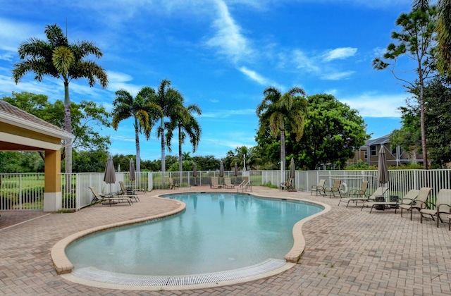 view of swimming pool with a patio area