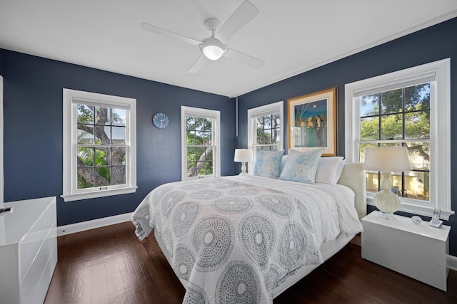 bedroom with multiple windows, dark hardwood / wood-style floors, and ceiling fan