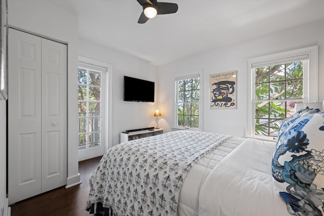 bedroom with ceiling fan, a closet, dark hardwood / wood-style flooring, and multiple windows