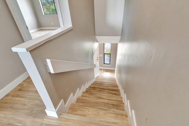 staircase featuring hardwood / wood-style floors