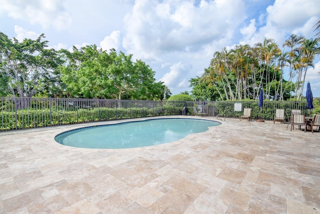 view of swimming pool with a patio