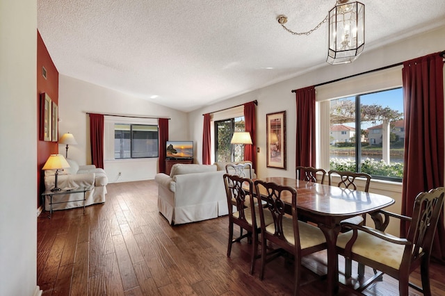 dining room with vaulted ceiling, a healthy amount of sunlight, dark wood-type flooring, and a textured ceiling