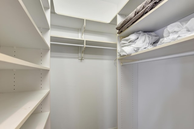 view of spacious closet