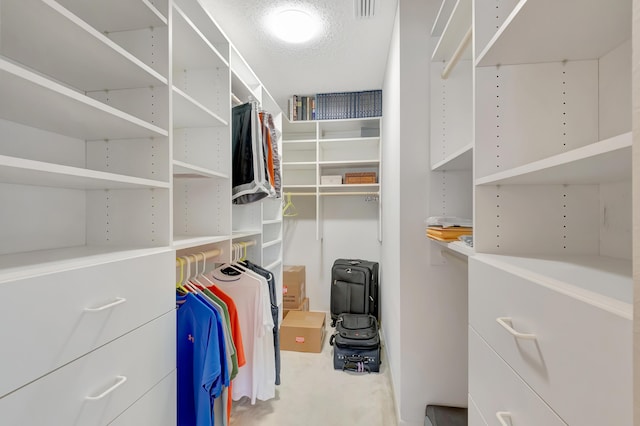 view of spacious closet