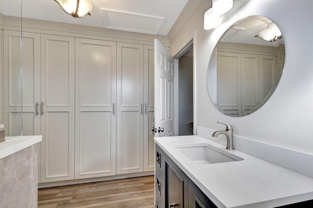 bathroom with vanity and wood-type flooring