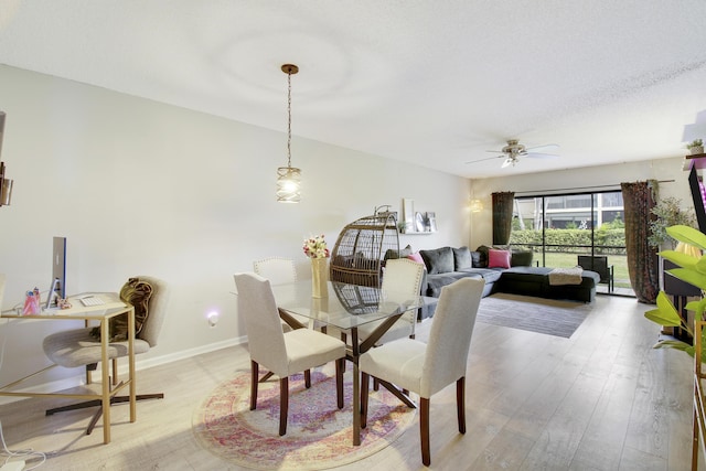 dining room with light hardwood / wood-style floors and ceiling fan