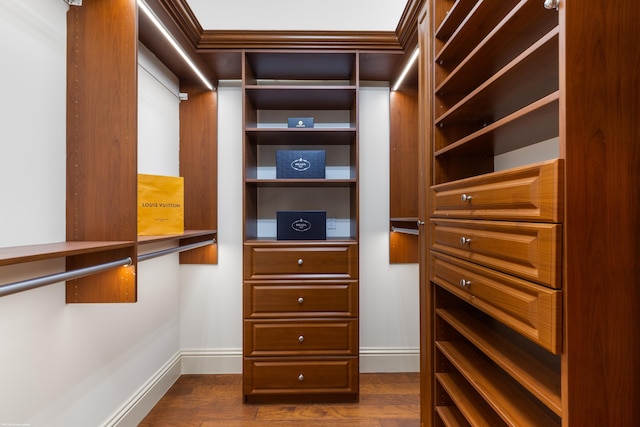 spacious closet featuring dark hardwood / wood-style flooring