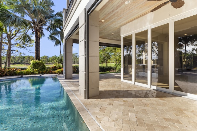 view of swimming pool with a patio area and ceiling fan